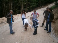 Sommercamp 2013